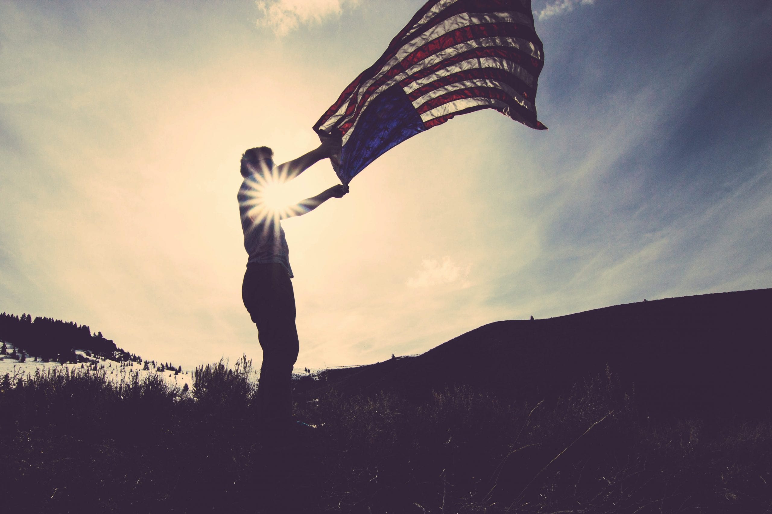 person waving american flag