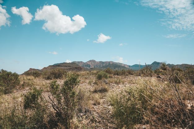 Texas terrain